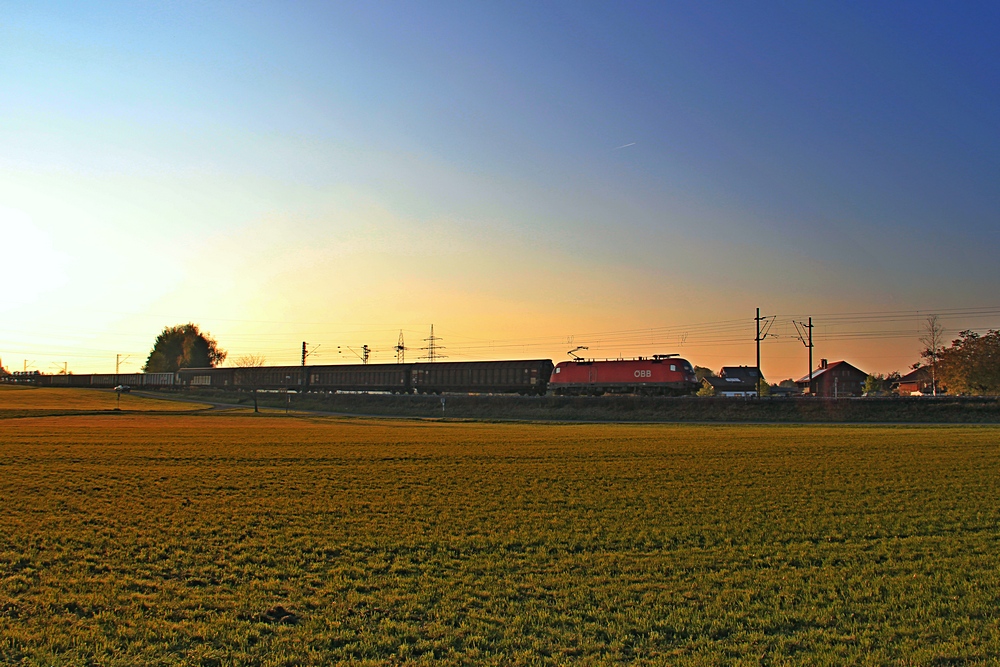 Eine Taurus bespannte Gterzug beim Simsee (Stephanskirchen)
22.10.2011