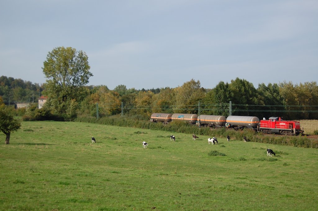 Eine unb. Lok der BR 294 fuhr am 04.10.2010 mit FZT 54358 Paderborn Gbf - Ottbergen durch die Feldmark, kurz hinter dem Bahnhof Langeland.