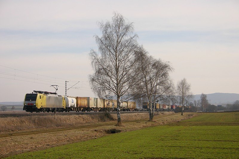 Eine unbekannt gebliebene Dispo 189 lie sich am 3.3.2010 an einer Baumgruppe bei Treuchtlingen in Szene setzen.