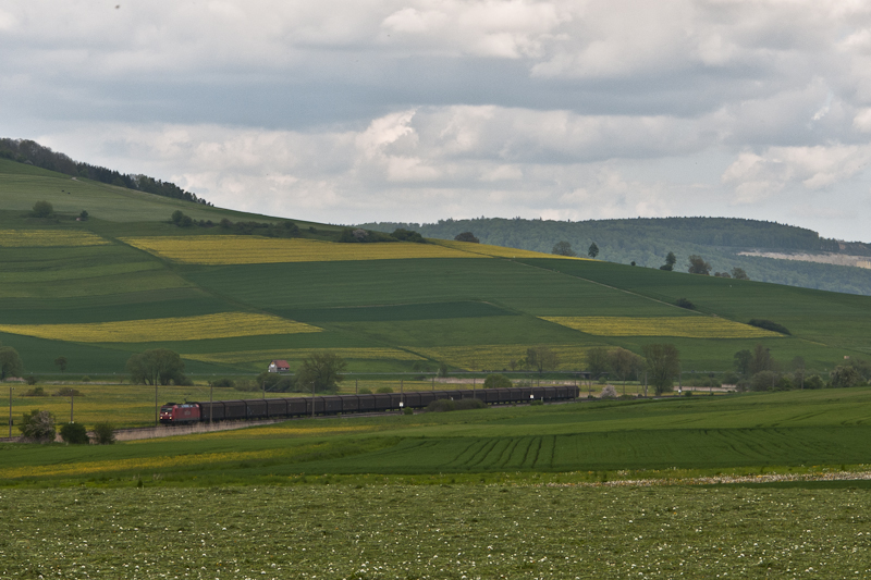 Eine unbekannt gebliebene Lok der Baureihe 185 am 22. Mai 2010 mit einem Gterzug bei Geisingen.