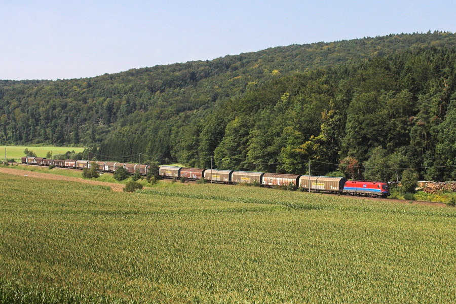 Eine unerkannt gebliebene 1116 mit der Rail Cargo Hungaria-Beklebung war am 25.08.2011 zwischen Abensberg und Saal (Donau) gesichtet worden.