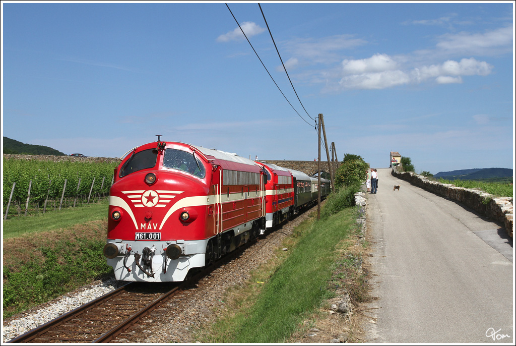 Einen besonderen Gast gab es bei der heurigen Sonnwendfeier in der Wachau. Die beiden MAV NOHABs M61 001 & 2761017 zogen einen Nostalgiesonderzug von Budapest nach Spitz a.d. Donau, hier als R17144 in Drnstein. 
23.6.2012

