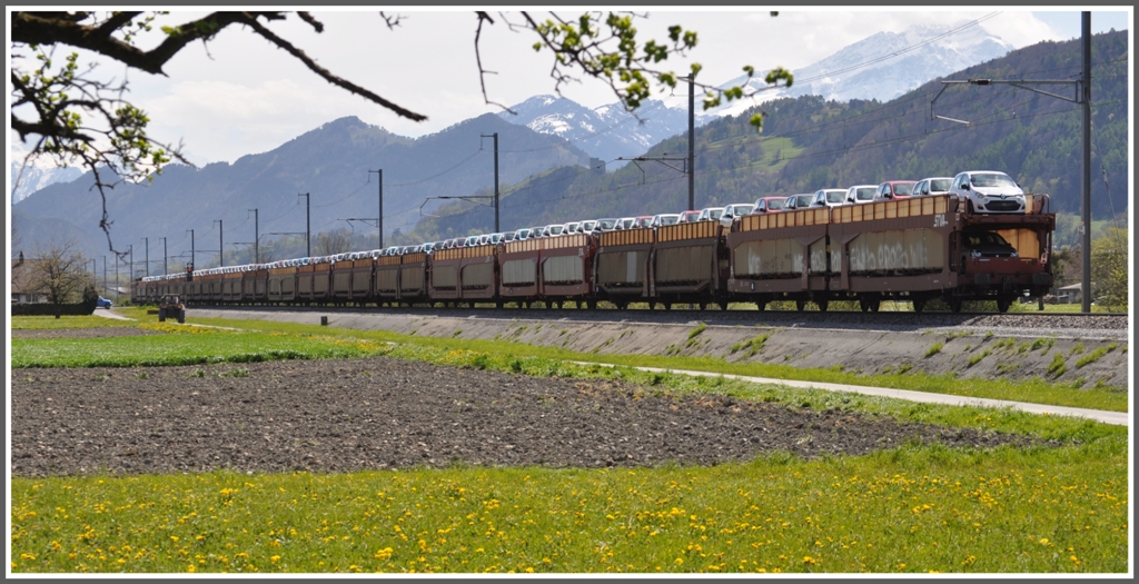 Einen stattlichen Autozug zieht die Ae 6/6 durchs Rheintal Richtung Sargans, (26.04.2012)