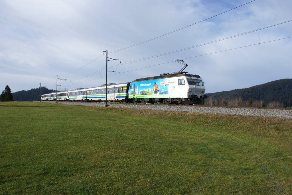 Einen weiteren VAE hatte am 21.11.09 die Re 456 091-8 am Hacken.