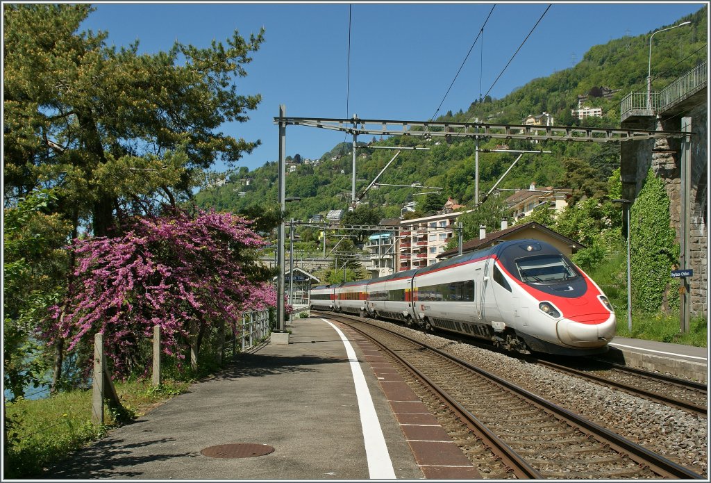 Einer der seltenen und gelungen Versuche, dieses Jahr  Frhling  zu fotografieren: SBB ETR 610 auf der Fahrt nach Milano in Veytaux-Chillon.
14. Mai 2013