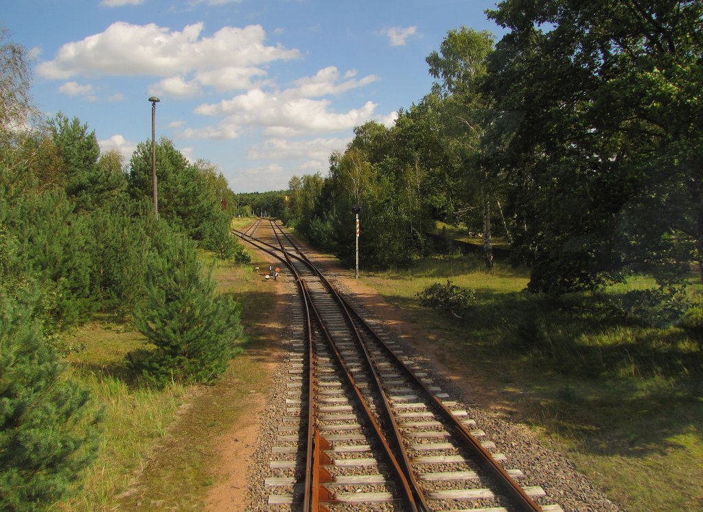 Einfahrt in den Bf Oranienbaum, rechts das Gleis stammt vom Abzweig nach Ferropolis, aus dem Oberdeck des DVE 670 004 fotografiert; 14.09.2011
