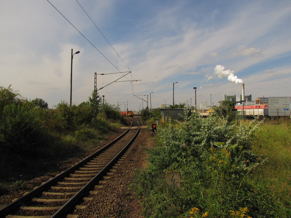 Einfahrt in Buna Werkbf, vom Hp Buna Werke aus fotografiert. Links zweigt die Strecke Richtung Schafstdt ab; 07.09.2010