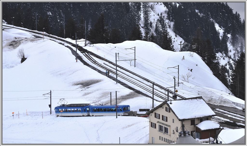 Einfahrt in Rigi Staffel wo die Strecke aus Vitznau auf die Linie von Arth Goldau trifft.. (04.04.2013)