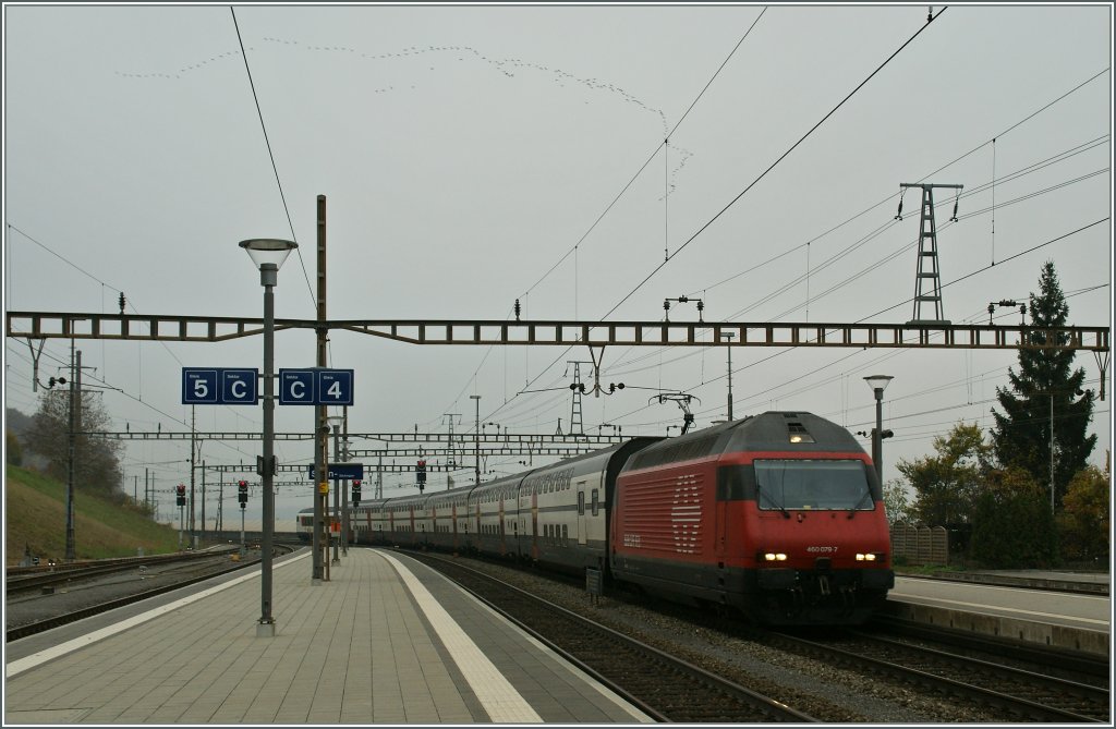 Einige fahren zum Flug, andere fliegen selber - Flugzug und Zugvgel bei Stein Sckingen am 6. November 2011