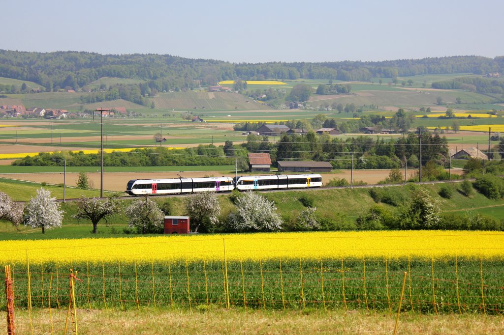 Einzelne GTW-AK sind im Raum Winterthur tagsber kaum noch zu sehen, dafr aber so ziemlich alle vorstellbaren Kombinationen von AK und AKL. Das Bild zeigt am 22.4.2011 eine Doppektraktion GTW-AK als S29 20951 (Winterthur - Stein am Rhein) im Stammertal bei Waltalingen. 