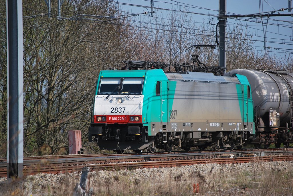 Elektrolok Nr 2837 schleppt einen Kesselzug durch den Bhf Montzen in Richtung Vis (18.04.2010)