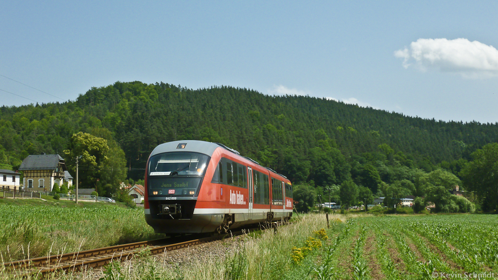 Ende Juni sind noch immer die DB-Desiros auf einigen Strecken im Ostthüringer Dieselnetz unterwegs - nun jedoch im Auftrag der Erfurter Bahn, welche DB Regio hier zum 10.06.2012 abgelöst hat. Dieser Desiro fährt hier also offiziell als EB Pößneck - Jena bei Langenorla über die Orlabahn. (30.06.2012)