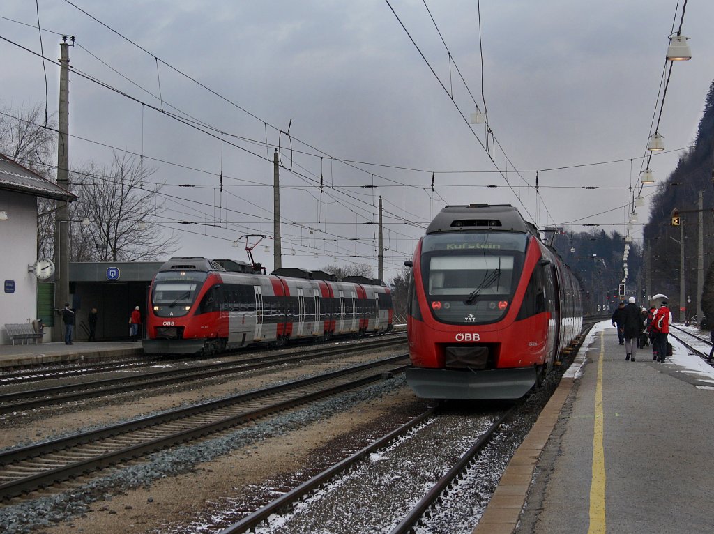 Enten Begegnung am 19.12.2009 in Brixlegg. 