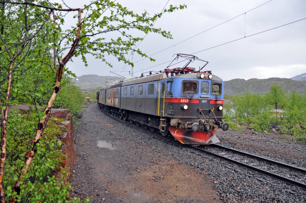Erzzug der LKAB auf dem Bjrnfell in der Nhe der ehemaligen Station Bjrnfjell Stasjon unweit der norwegisch-schwedischen Grenze. Bei dem abgelichteten Zug der Erzbahn, mit Fahrtrichtung Verladeterminal Narvik, kam eine Lok der Baureihe Dm3 (Leistung 7200 kw, Gewicht 273 t, 75 km/h max.) zum Einsatz. Aufnahme vom 05.07.2010
