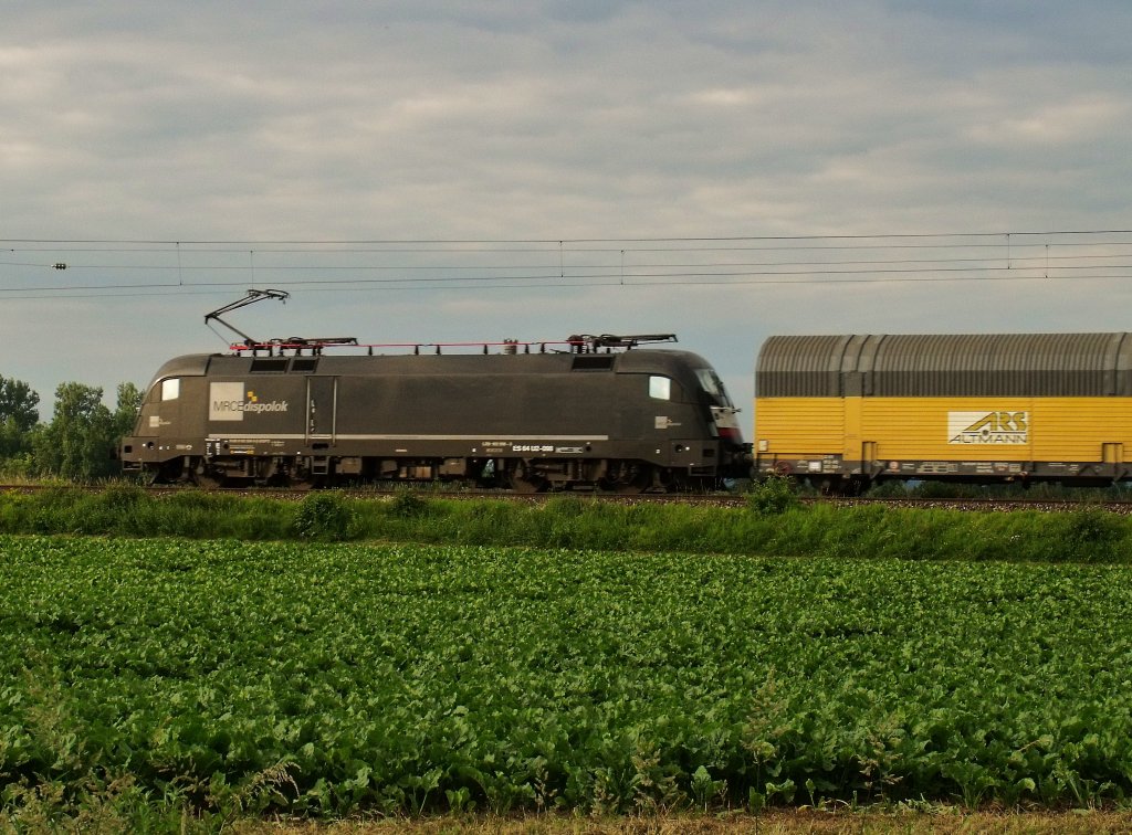 ES 64 U2 -098 der MRCE bespannte am 23.06.2010 den ARS Altamnn Zug hier in Kfering. 