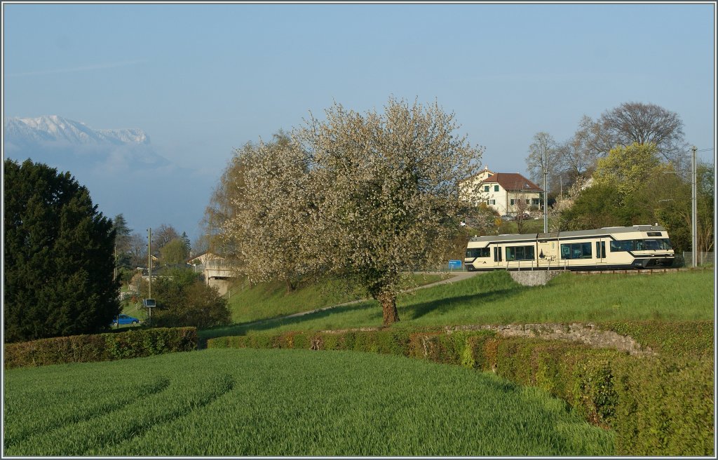 Es blühte, und nun grünt es. 
CEV GTW Be 2/6  Blonay  bei Château de Hauteville.
17. April 2012
