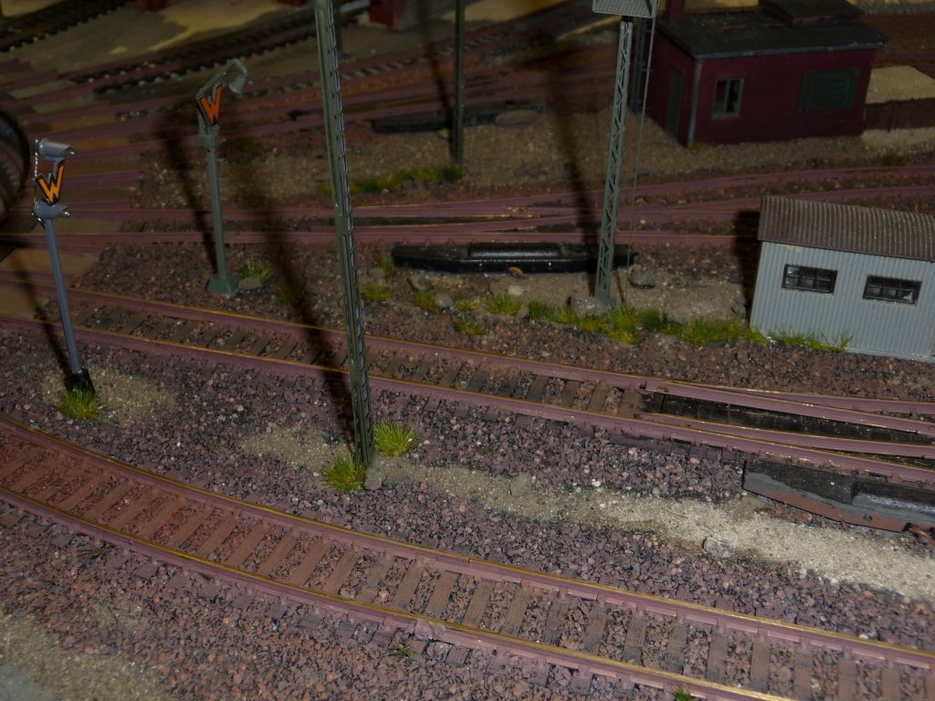 Es gr�nt schon etwas.