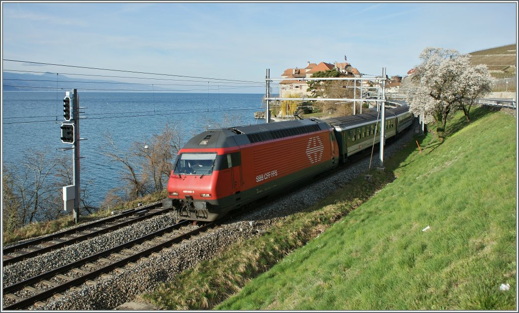Es wird Frhling: Re 460 048-2 mit IR 1419 bei Rivaz am 14. Mrz 2011.