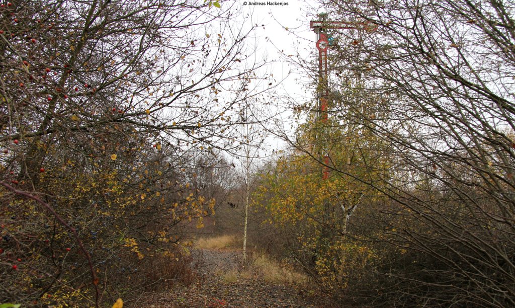 Esig in Lauterbach (Hess) Nord 12.11.11 von ex. Oberwaldbahn von Glauburg–Stockhain kommend