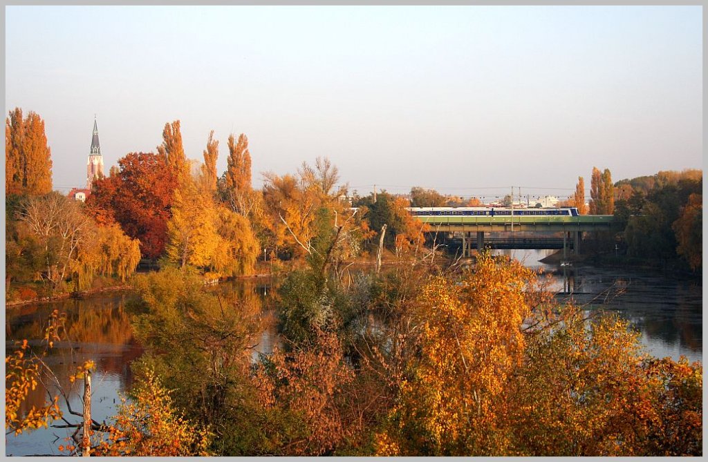 ET 4020 am 5. November 2011 im S-Bahn Einsatz ber der herbstlichen Alten Donau in Wien.