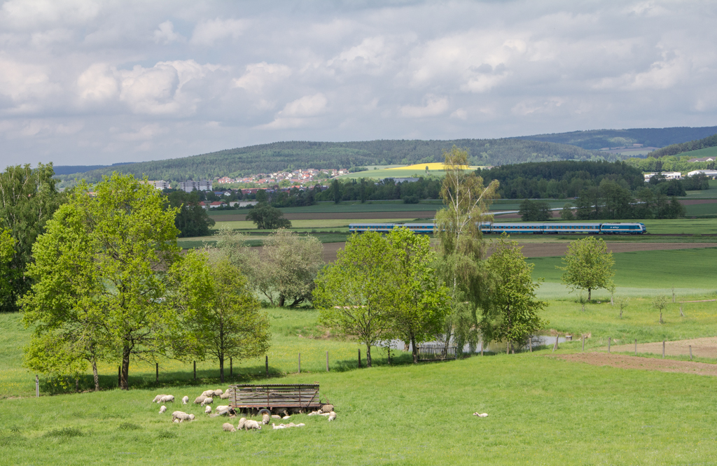 Etwas Pech hatte ich mit dem ALX 84115.Whrend im Vordergrund schon alles schn ausgeleuchtet war,lag der Zug noch im Schatten.Wobei,sowas muss dann doch nicht immer von Nachteil sein.
Das Foto entstand am 18.5.13 an der KBS 855 zwischen Nabburg und Pfreimd.