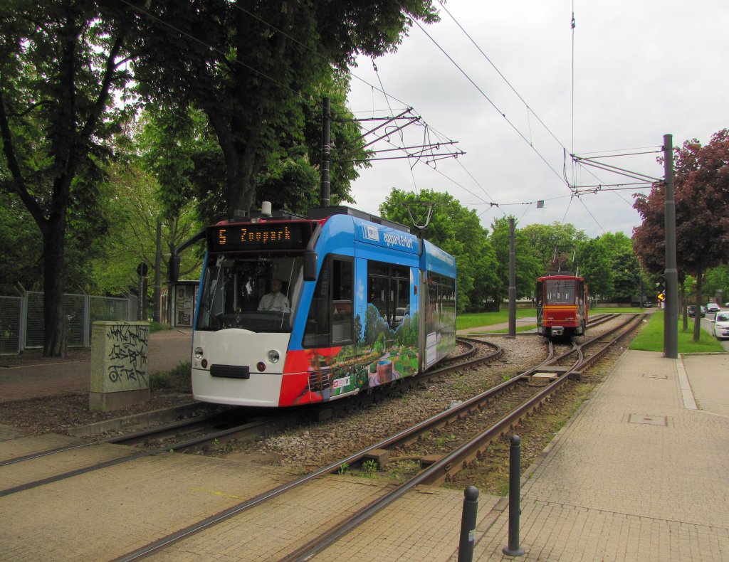 EVAG 625 als Linie 5 zum Zoopark, am 24.05.2013 an der Thringenhalle.