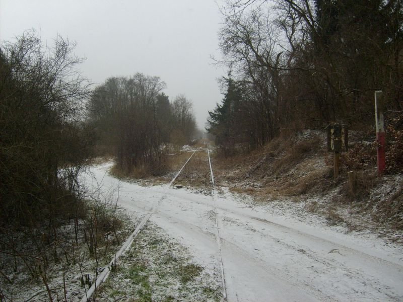 ex KBS 296 Angermnde-Bad Freienwalde, stillgelegt seit 1997, am 01.02.2009, rechts vom Gleis war der Haltepunkt Oderberg, Blickrichtung Bad Freienwalde