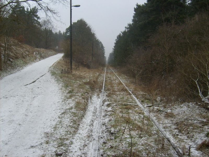 ex KBS 296 Angermnde-Bad Freienwalde, stillgelegt seit 1997, am 01.02.2009, links vom Gleis war der Haltepunkt Oderberg, Blickrichtung Angermnde