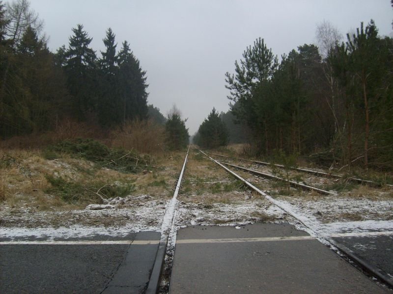 ex KBS 296 Angermnde-Bad Freienwalde, stillgelegt seit 1997, am 01.02.2009, Bahnbergang Hohensaaten-Neuendorf, Blickrichtung Angermnde