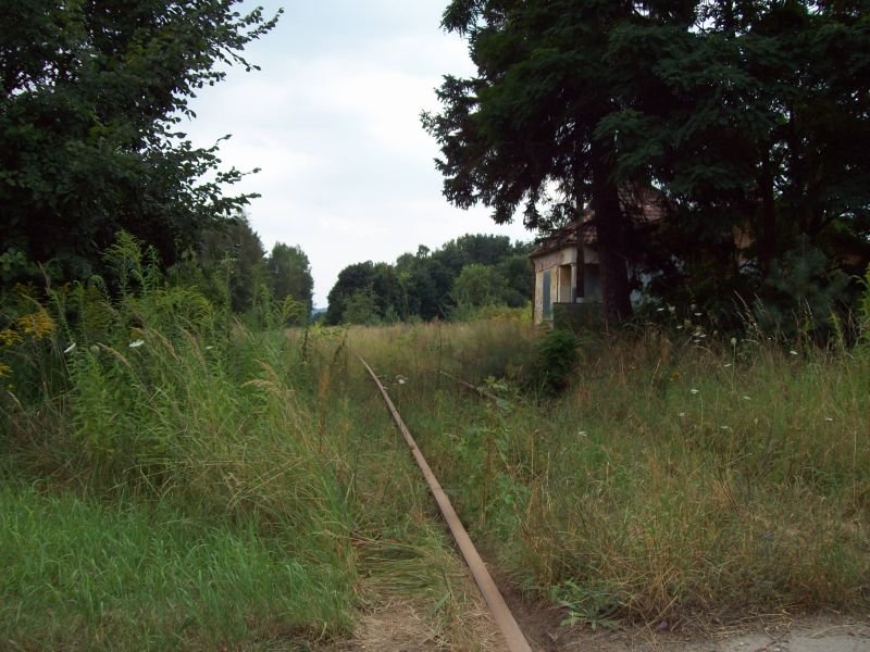 ex KBS 296 Angermnde-Bad Freienwalde, stillgelegt seit 1997, am 11.08.2009, Bahnhof Bralitz, rechts ist noch das Bahnhofsgebude zu sehen, 
Blickrichtung Bad Freienwalde