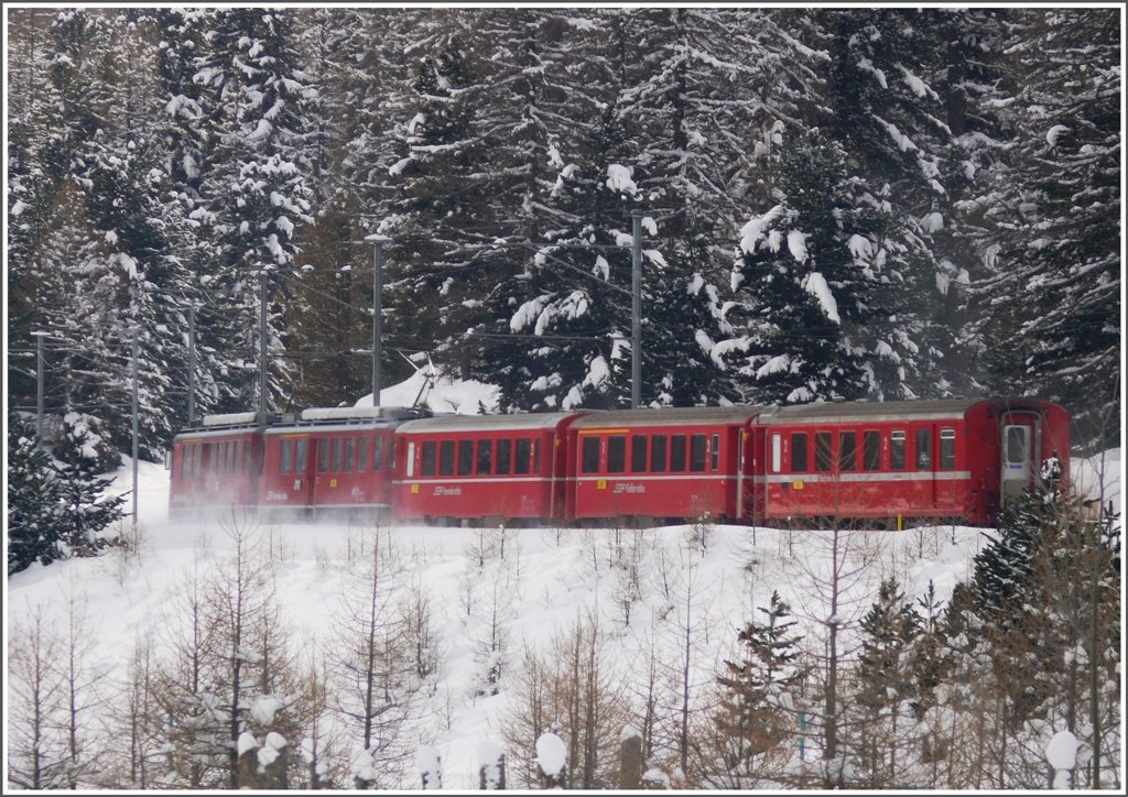 Fast lautlos gleitet R1633 an mir vorbei durch den Schnee Richtung Morteratsch. (12.01.2010)