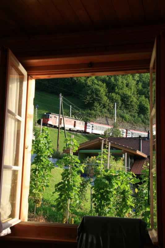 Fast noch im Schlaf fotografierte ich aus meinem Hotelbett den Zug der Brningbahn in Eblingen. Eine Traumhafte Hotelaussicht! Links die Brningbahn, rechts der Brienzer See. Den Fahrgsten des Golden Pass winkten wir auch immer aus dem Bett zu. Eblingen, 22.08.2011