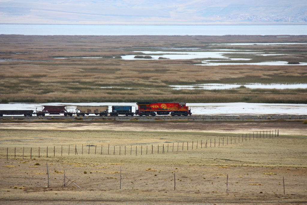 FCCA 1001 am bzw. durch den See von Junin auf ca. 4100m dM Richtung Cerro de Pasco. Dieser See ist sehr seicht und hier leben sogar Flamingos! - 10/09/2011