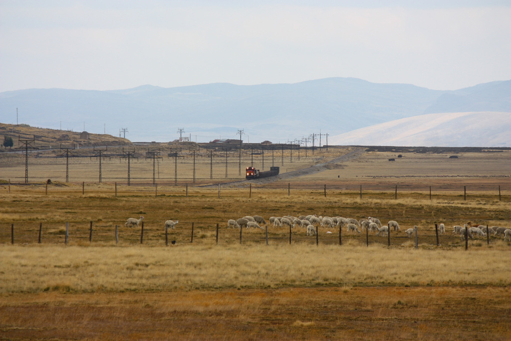 FCCA 1001 auf ca. 4100m dM in schier endloser Weite .... Richtung Cerro de Pasco - 10/09/2011