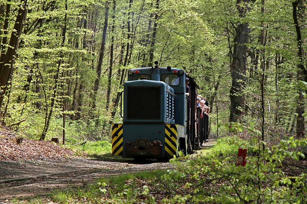 FGF Fahrtag am 01.05.2012  --  Der Museumszug mit der LKM V 10 C befindet sich auf dem Rckweg aus dem unteren Bahnhof und passiert soeben das kleine Waldstck.  --  Weitere Fotos siehe auch in meinem http://www.fgf-fotoalbum.de/