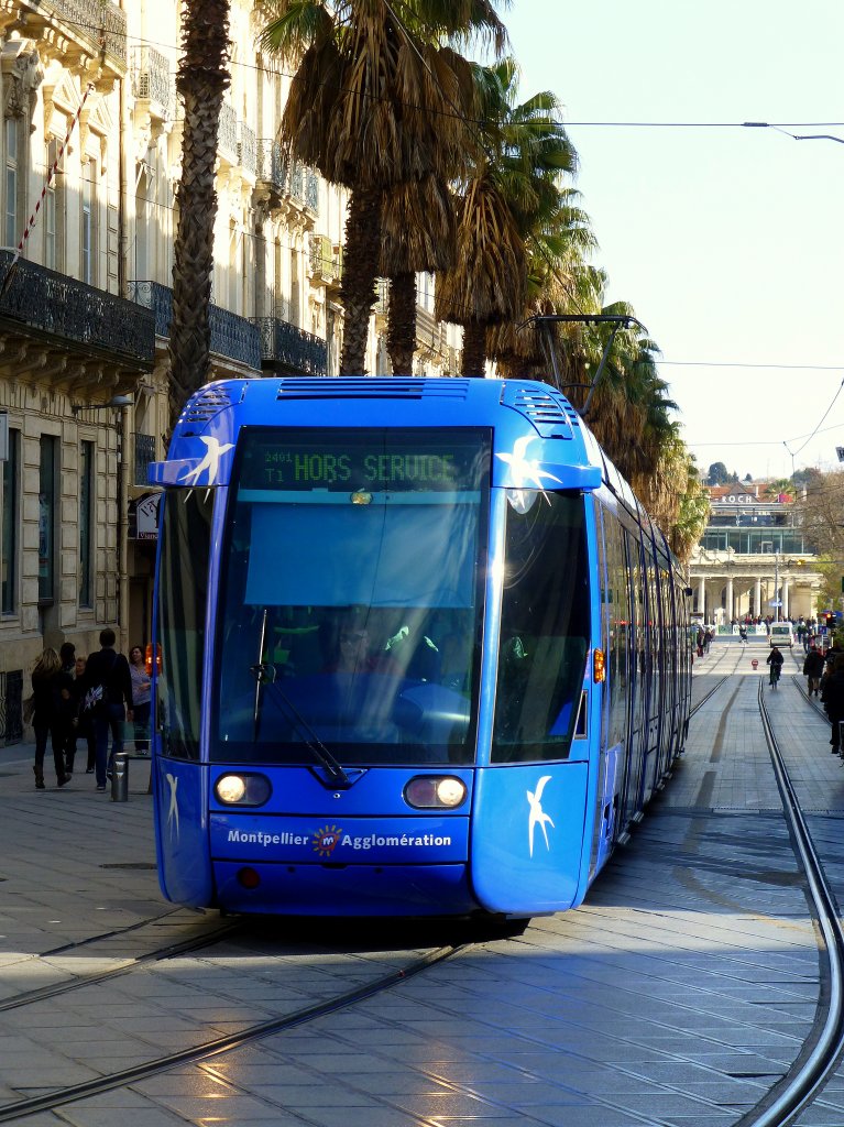 Frankreich, Languedoc, Montpellier, rue de Maguelone, ein Citadis 401 der Linie 1 (Odysseum-Mosson)fährt vom SNCF Bahnhof Saint-Roch in Richtung Place le la Comédie. 26.03.2013