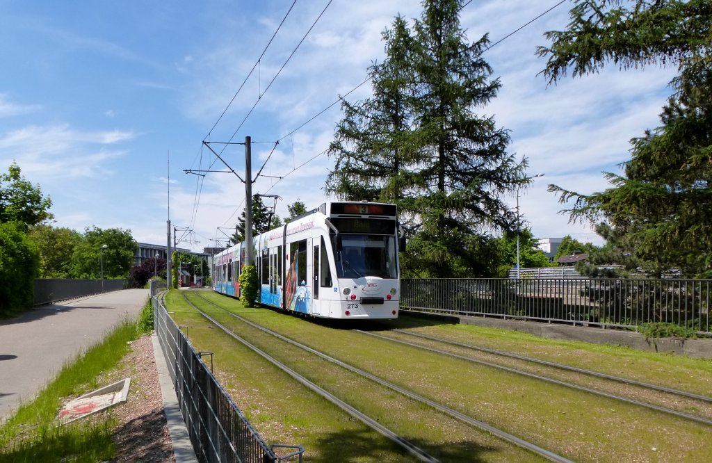 Freiburg, Straenbahn an der Haltestelle Runzmattenweg, Mai 2013