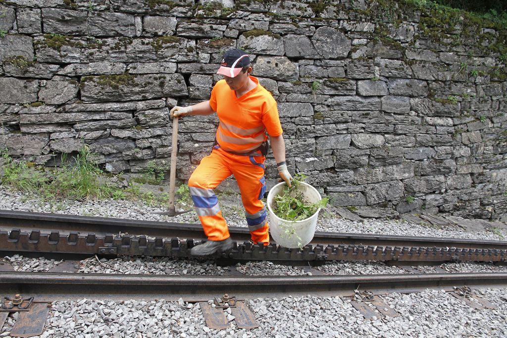 Freiwilligenarbeit fr mich, normaler Arbeitstag fr BRB-Mitarbeiter Daniel Blatter: er leert gleich den Kessel mit gesammeltem Unkraut. Mitten im Wangwald, 13. Juli 2012, 10:56