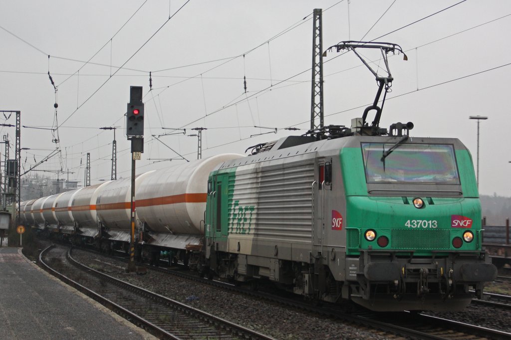 FRET 437013 am 3.2.11 in Duisburg-Bissingheim