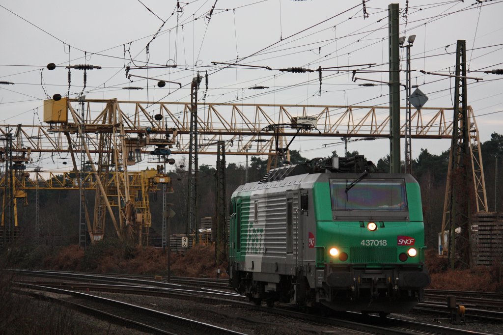 FRET 437018 am 14.12.12 als Tfzf in Duisburg-Entenfang.