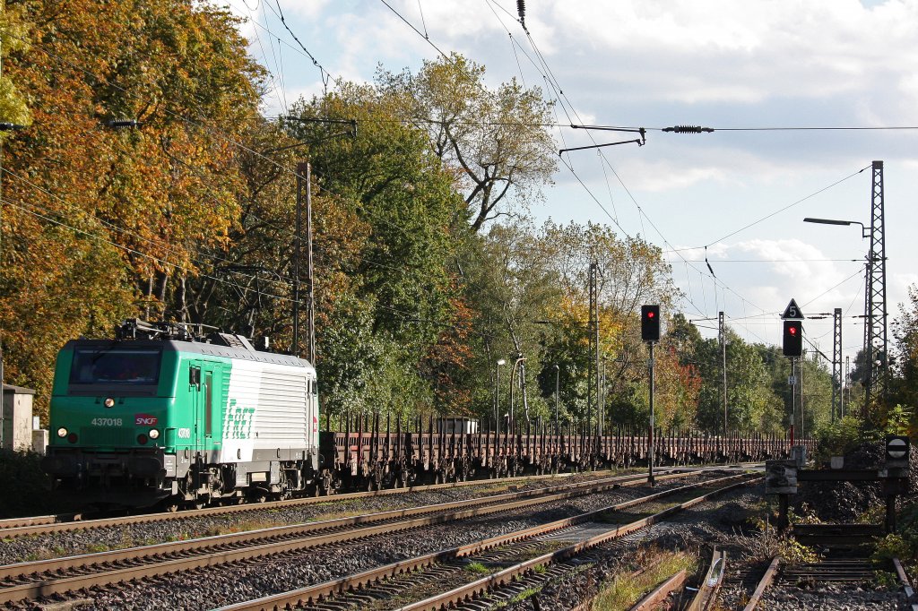 FRET 437018 am 15.10.12 mit einem Stahlzug in Ratingen-Lintorf.