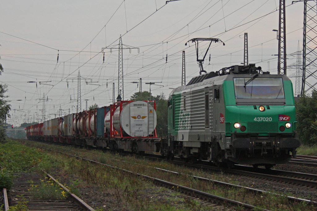 FRET 437020 am 9.9.10 in Ratingen-Lintorf