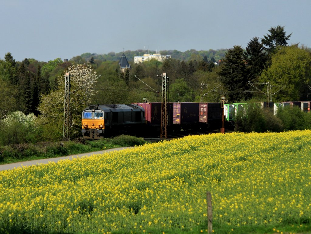 Frhling am Gemmenicher Weg in Aachen. 266 101-5 von Crossrail qult sich am 15.04.2011 mit einen Containerzug an blhenden Bschen und an dem schon gelb werdenden Rapsfeld von Aachen West ber die Rampe zum Gemmenicher Tunnel nach Belgien hoch.