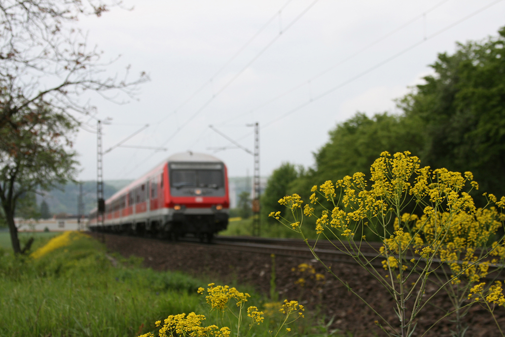 Fr�hling im Maintal! Karlstadt, 08.05.2010.