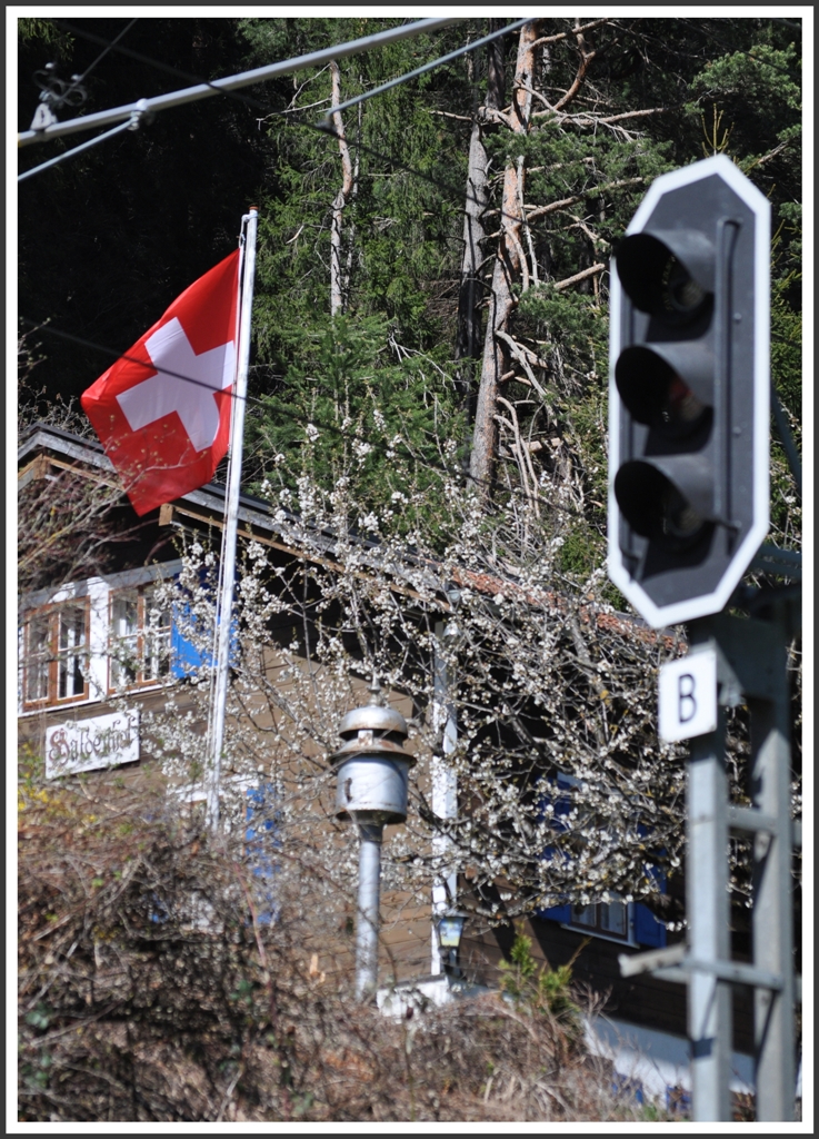 Frhling in der Rheinschlucht. Trin (12.04.2012)