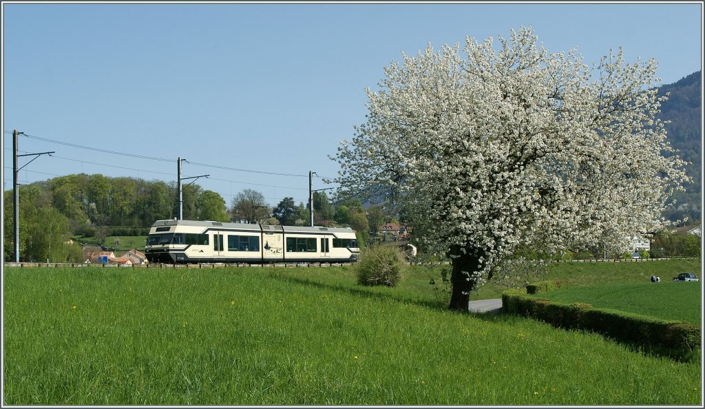 Frühling!
CEV GTW bei St-Legier. 
10. April 2011 