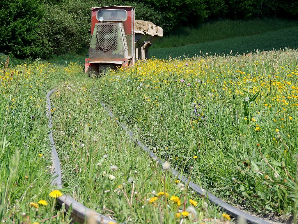 Frhlingserwachen auf der Feldbahn-DANREITER; 120504