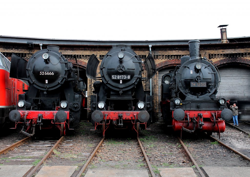 Frhlingsfest im Bw Berlin-Schneweide am 15.04.2012. Hier sind die  Dampfloks 74 1230, 52 8173-8 und 52 6666 der Berliner Dampflokfreunde e. V. ausgestellt.
