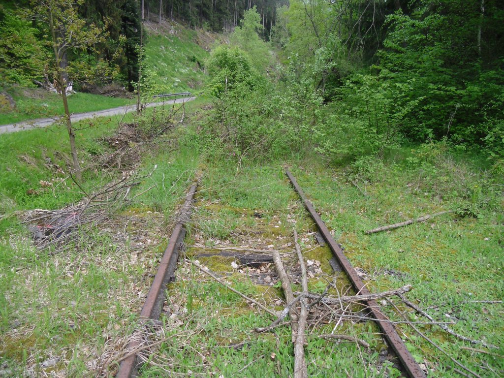 Fuchsklinge in Hirsau die Alte Eisenbahnstrecke nach Weil der Stadt.
am 15.05.2013