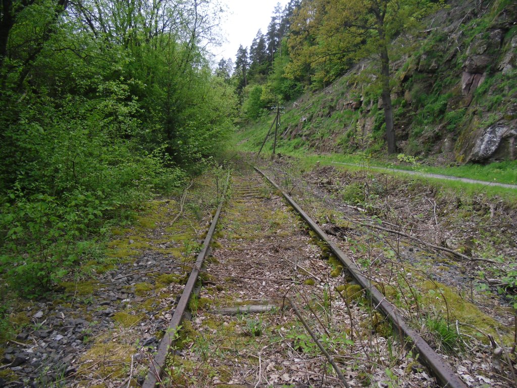 Fuchsklinge in Hirsau Richtung Calw die Alte Eisenbahnstrecke nach Weil der Stadt.
am 15.05.2013